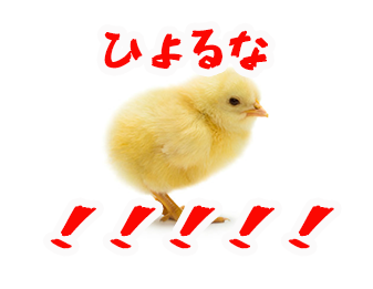 ひよるな！！！！！