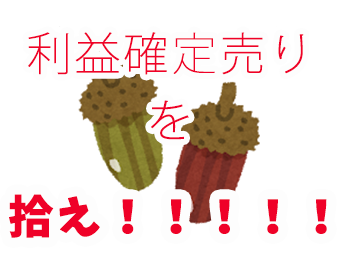 利益確定売りを拾え！