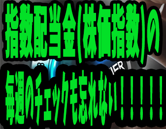 指数配当金のチェックも忘れない！！！！！